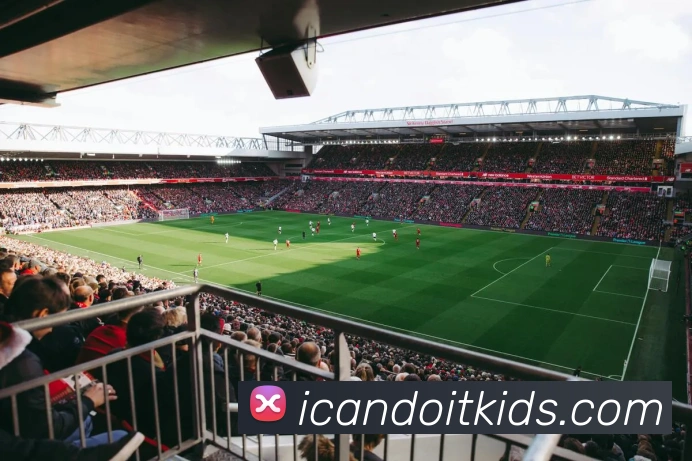 App界面